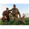 Image 3 : Roe Deer Hunt in Serbia donated by European Hunting Adventures for 2 Hunters Value $6,600.
