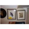 Image 3 : OWL LOT: FRAMED ART, COLLECTOR PLATES & CARVED WOODEN OWL (10 PCS)