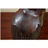 Image 3 : CARVED WOOD FEMALE BUST; SIGNED FRANK SCHIRMAN (19" TALL)