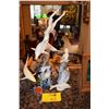 Image 1 : DOLPHINS, SHARK & MERMAID FIGURES & CANDLE HOLDER (6 PCS)