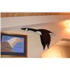Image 4 : 2ND AMENDMENT WALL ART & EAGLE PLATE (6 PCS)