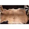 Image 3 : WOLF PELT, PILLOWS & THROW (6 PCS)