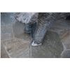 Image 2 : ELEPHANT STATUE (MISSING TOES)