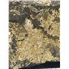 Image 2 : Rock with Gold Specks Throughout 1.25 lbs