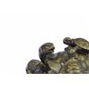 Image 6 : Turtle Family Bronze Figurine
