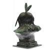 Image 5 : Native Indian Chief Bronze Bust Sculpture