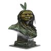 Image 9 : Native Indian Chief Bronze Bust Sculpture