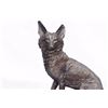 Image 2 : Fox Sitting Bronze Sculpture