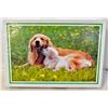 Image 1 : MOTHER & SON DOG PUZZLE 1000PC PUZZLE
