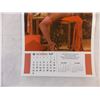 Image 3 : 1976 Playboy Calendar - Complete