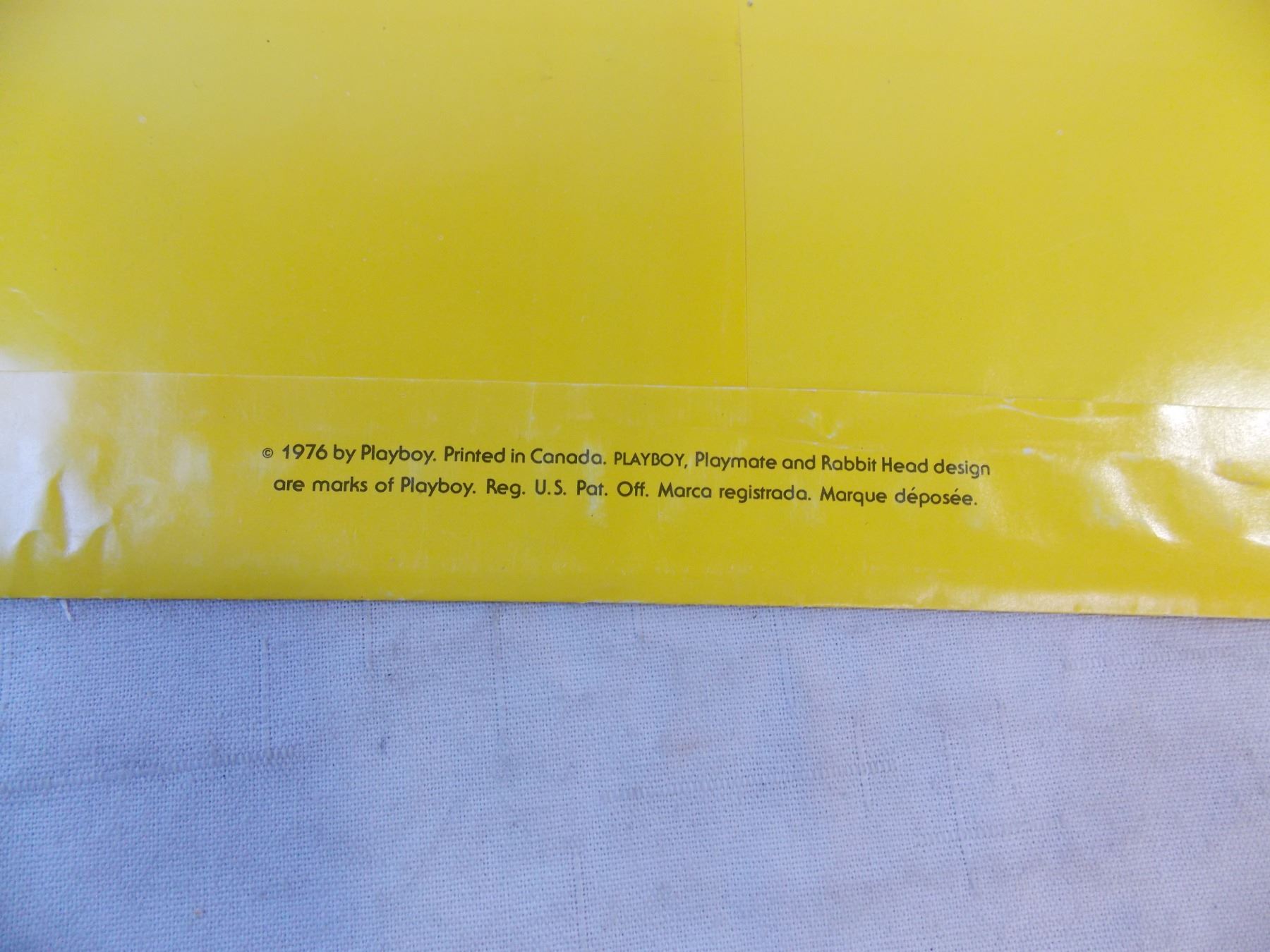 1977 Playboy Calendar Complete Bodnarus Auctioneering 1977-playboy-calendar-complete-bodnarus-auctioneering