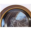 Image 2 : Snow leopard plate - framed 1989