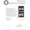 Image 3 : 14KT White Gold 4.43 ctw Diamond Earrings