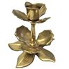 Image 1 : Brass Rose
