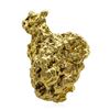 Image 1 : 5.03 Gram Yukon Gold Nugget