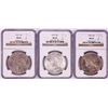 Image 1 : Lot of 1922-1924 $1 Peace Silver Dollar Coins NGC MS64