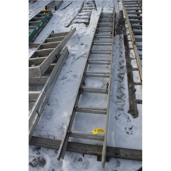 One  (1)   Aluminum Extendable Ladder