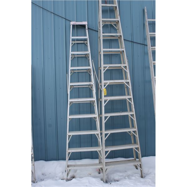 Two  (2) Aluminum Step Ladders