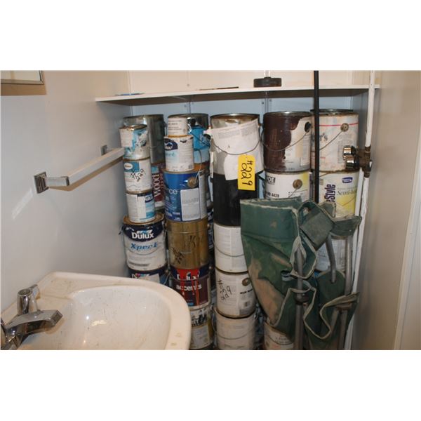 Quantity of Paints, Cat food, Cat House Situated in Bathroom