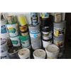 Image 2 : Large quantity of Paint and Adhesives