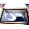 Image 2 : Topfin Aquarium Starter Kit - 20US Gal. 24x12.7x16"