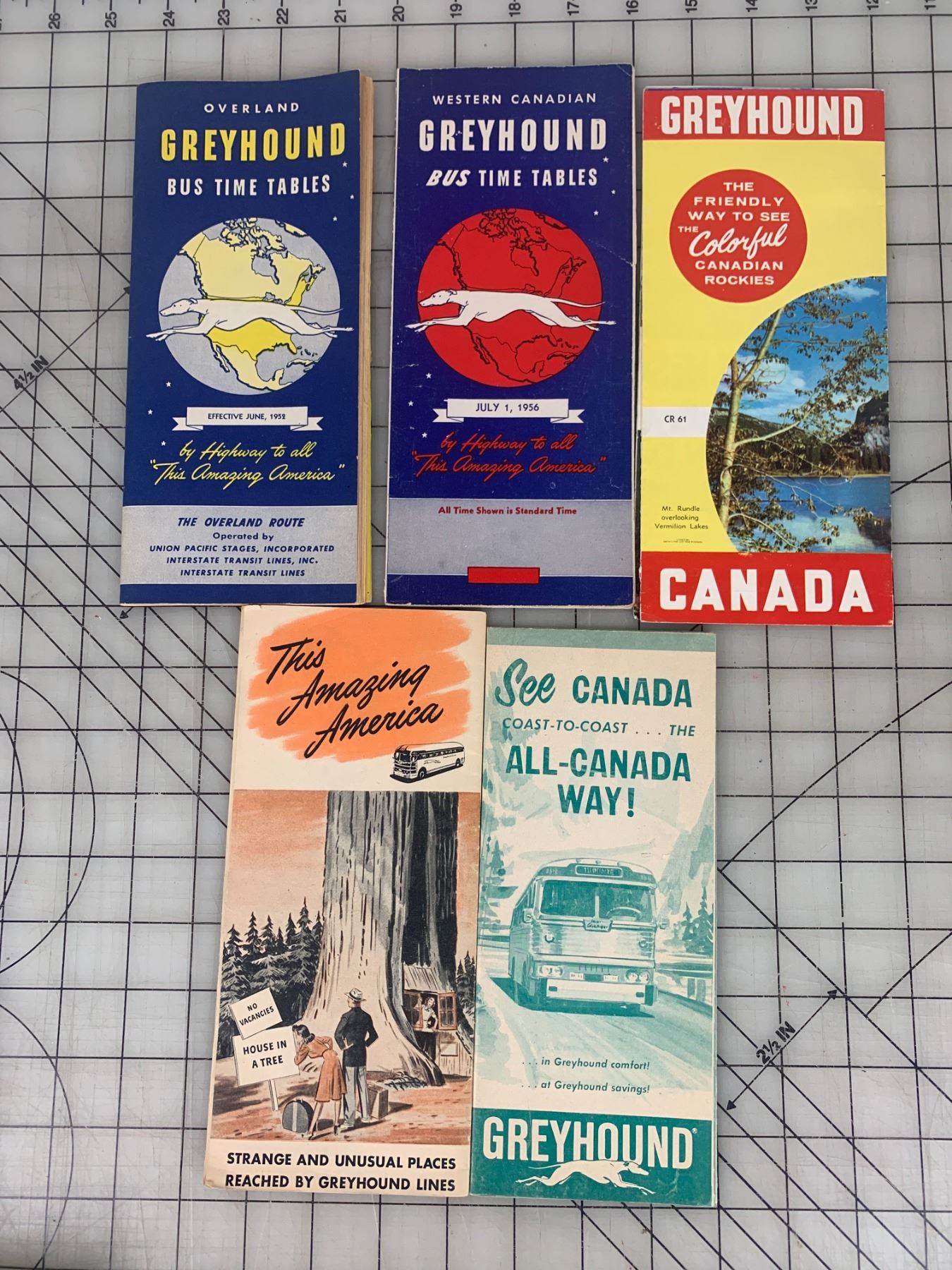 Greyhound Bus Fares And Schedules