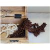 Image 2 : Heavy wood box with fun summer costume jewelry. Includes 3 shell carved rings, shell rope bracelet &