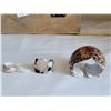 Image 7 : Heavy wood box with fun summer costume jewelry. Includes 3 shell carved rings, shell rope bracelet &