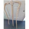 Image 3 : 3 wooden walking sticks.