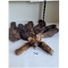 Image 1 : Mink head, front claws & 6 tails, worn as a vintage shoulder stoal. Tails not all connected, repair 