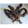 Image 5 : Mink head, front claws & 6 tails, worn as a vintage shoulder stoal. Tails not all connected, repair 
