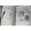 Image 3 : 1904 Children's Book - Louis Wain Art