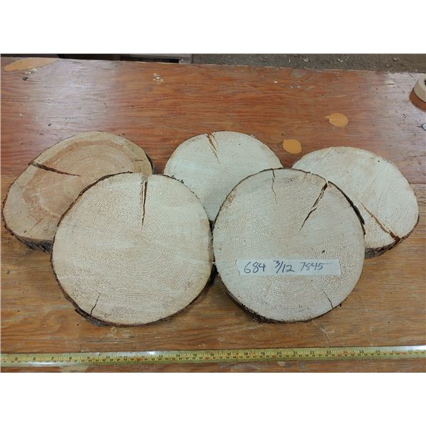 5 Wooden Discs Approx. 1 1/2" Thick 9-10" Across