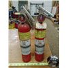 Image 1 : 2 Fire Extinguishers