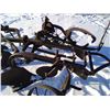 Image 5 : Antique/Vintage Plow