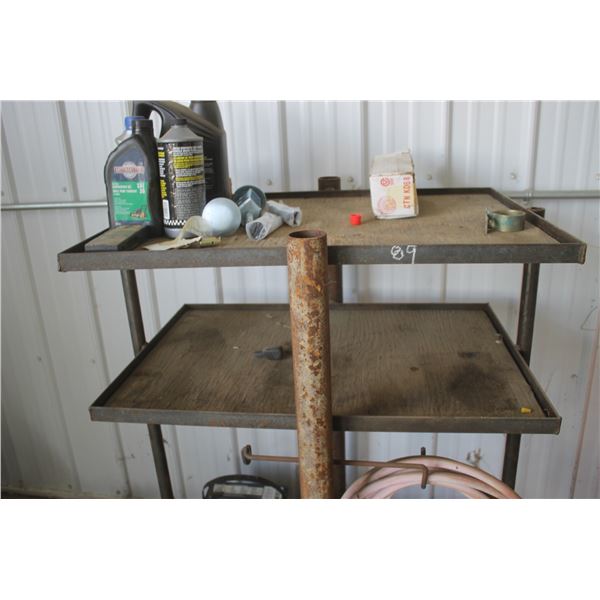 Stand c/w Misc. Fluids and Air Hose