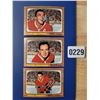 Image 1 : 1965-66 Montreal Canadiens - Robert Rousseau 7 -Jean Guy Talbot 3 - James Roberts 6