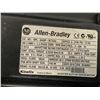 Image 8 : (2) Allen Bradley # MPL-B430P-MJ74AA Motors