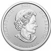 Image 2 : 2021 Canada $10 Werewolf 2 oz
