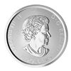 Image 2 : 2017 $8 Grizzly 1.5 oz