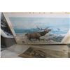 Image 2 : Wild Life Posters (4)