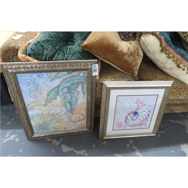 Framed Shell Wall Art