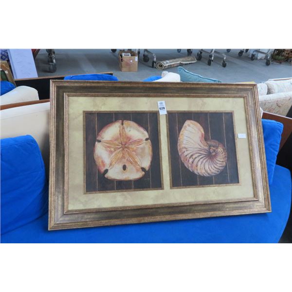 Framed Seashell Print - 42  x 28 