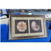 Image 1 : Framed Seashell Print - 42" x 28"