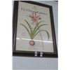 Image 1 : Framed Complete Florilege Print