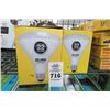 Image 1 : LED Dimmable Flood Bulbs