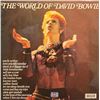 Image 1 : Signed The World of David Bowie Album Cover