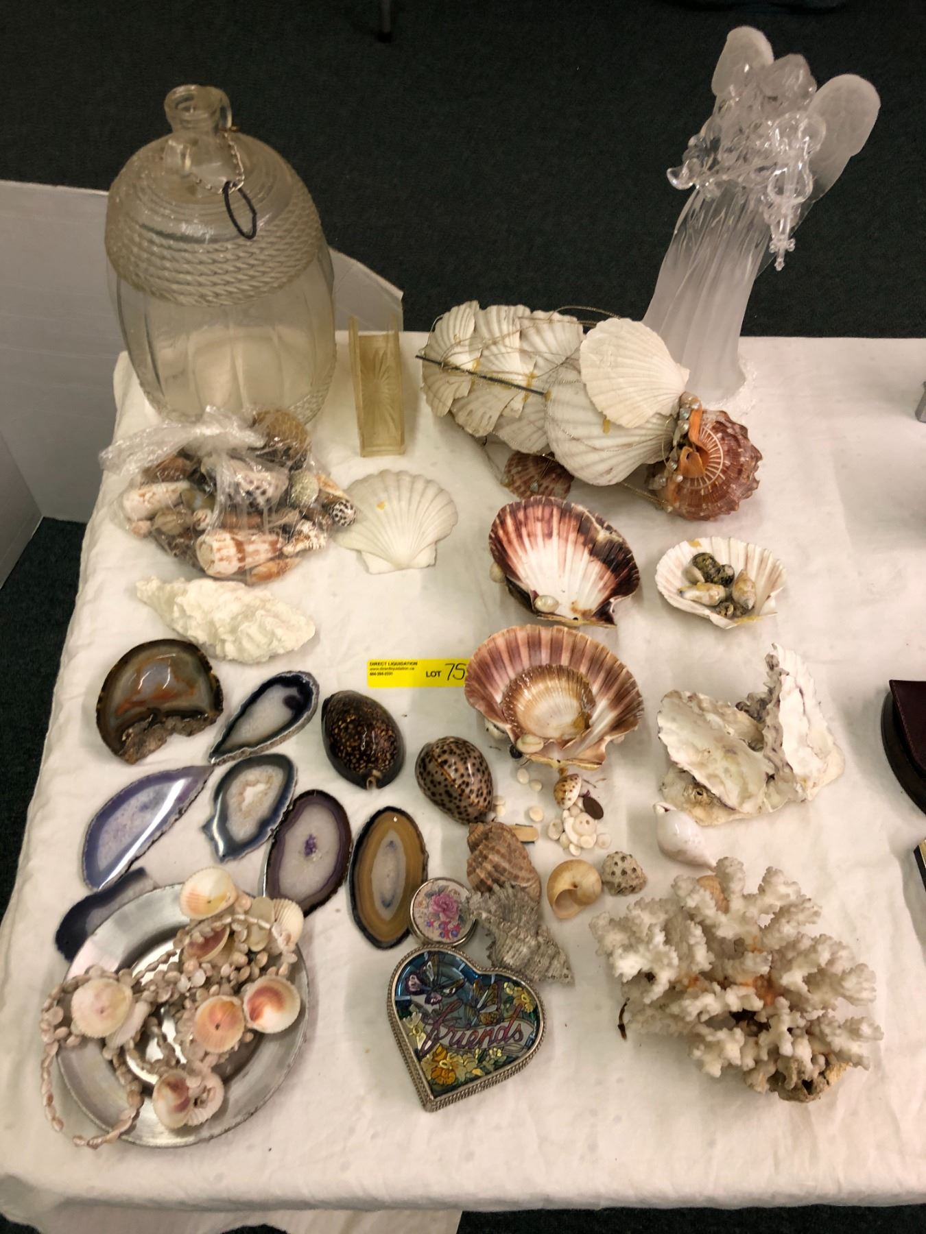 Group of Misc. Glass, Shells, Coral, Rocks & Curio Containers