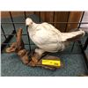Image 2 : Taxidermy White Pheasant - Approx. 17in x 13in