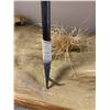 Image 2 : Taxidermy Lion - 90in long x 25in x 66in